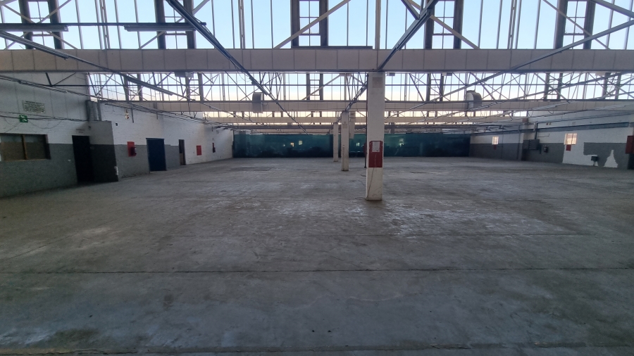 To Let commercial Property for Rent in Parow Industrial Western Cape